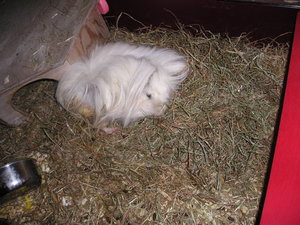 Marie&Tommy (22).JPG