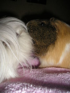 Marie&Tommy (101).JPG