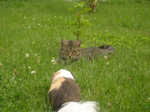 Marie&Tommy (272).JPG