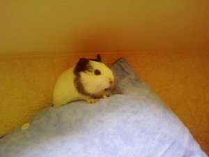 Marie&truttchen (48).jpg