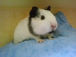 Marie&truttchen (49).jpg