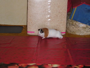 Marie&truttchen (5).JPG