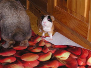 Marie&truttchen (8).JPG