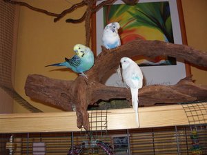 SDC10018 (Small).JPG