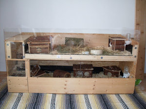 Schweinchenvilla klein.jpg