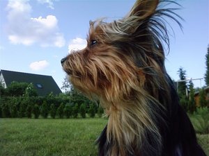 P09-07-09_18.33 (Small).jpg