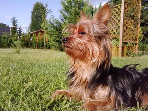 P09-07-09_18.34 (Small).jpg