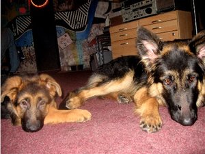 Web jimmirosimÃ¼de.jpg