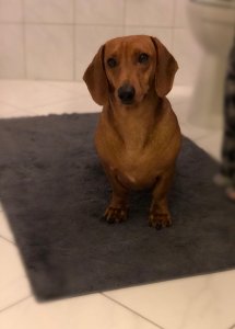 WhatsApp Image 2019-01-15 at 19.39.59.jpeg