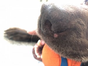 65C01571-AC91-4440-BA5A-56F657C66E56.jpeg 65C01571-AC91-4440-BA5A-56F657C66E56.jpeg