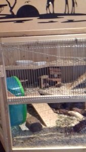 20190508_141255.jpg 20190508_141255.jpg