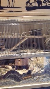 20190508_141305.jpg 20190508_141305.jpg