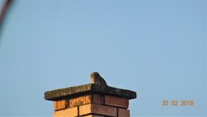 DSC00505.JPG DSC00505.JPG