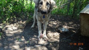 DSC00273.JPG DSC00273.JPG