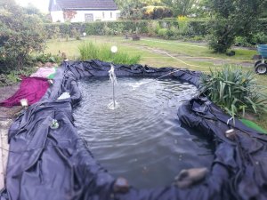 IMG_20190629_201420.jpg IMG_20190629_201420.jpg