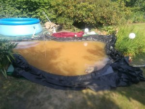 IMG_20190630_165853.jpg IMG_20190630_165853.jpg