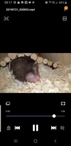 Screenshot_20190721-031715_Video Player.jpg