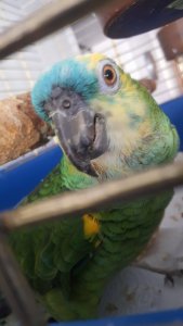 20190704_182904.jpg 20190704_182904.jpg