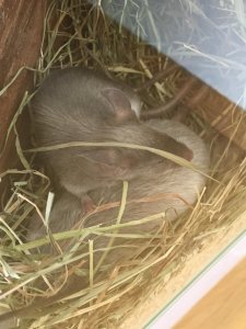 WhatsApp Image 2019-07-20 at 10.02.18.jpeg