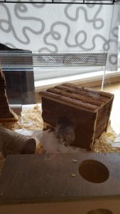 WhatsApp Image 2019-07-11 at 17.52.40.jpeg