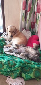 20190921_161203.jpg 20190921_161203.jpg