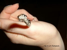 ich bin gar nicht neugierig [320x200].jpg