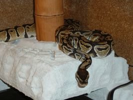 DSCF0036 [320x200].JPG