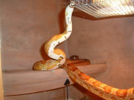 DSCF0015 [320x200].JPG