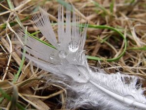 Urlaub 005.jpg Urlaub 005.jpg