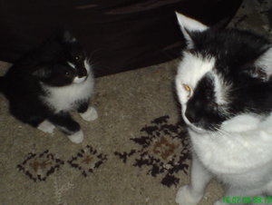 DSC00611_2_BildgrÃ¶ÃŸe Ã¤ndern.JPG