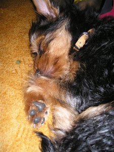 P1010021 (Medium).JPG