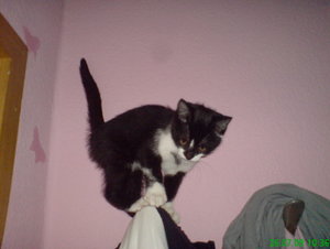 DSC00638_BildgrÃ¶ÃŸe Ã¤ndern.JPG