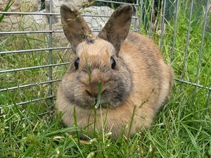 k-Finepix J50 111.jpg