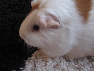 Marias Doppelkinn xDD 002.jpg