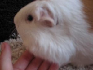 Marias Doppelkinn xDD 004.jpg