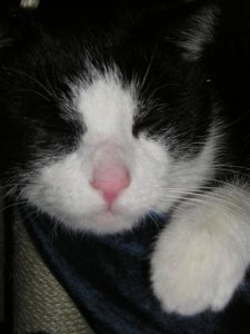 09 (104) (Small).JPG