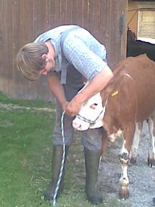 Bilder curly 001.jpg