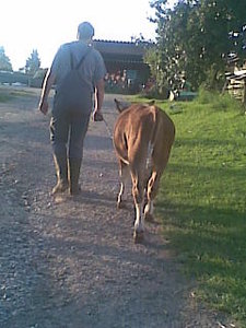 Bilder curly 003.jpg