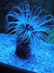 P1010847 (Small).JPG