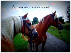 Au premier coup d'oeil - Kopie....jpg