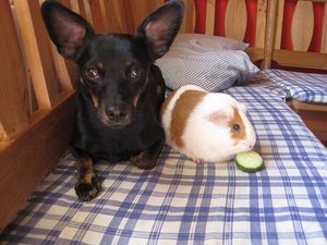 Bilder vom Handy.jpg