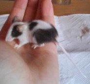 DSC00242 kleiner 2.jpg