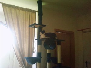 P19-07-09_11.47[1] (Small).jpg