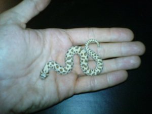 DSC00001 verkleinert.JPG