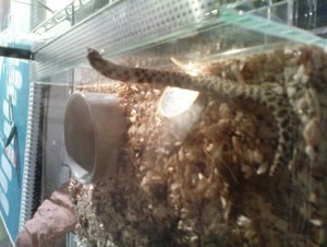 DSC00042 verkleinert.JPG