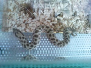 DSC00173 verkleinert.JPG