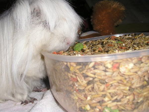 Marie&Tommy (146).JPG