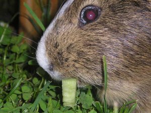 Marie&Tommy (237) (Small).JPG