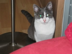 anstrengender Tag gewesen1.jpg