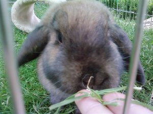 P27-06-09_17.38[1] (Small).jpg